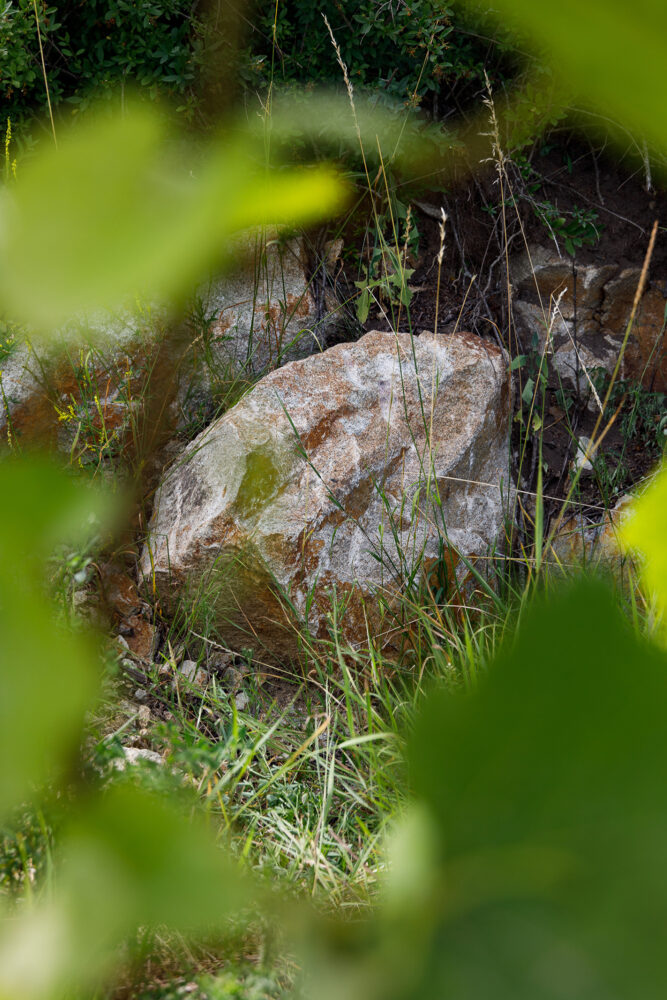 Gelber Traminer Natural